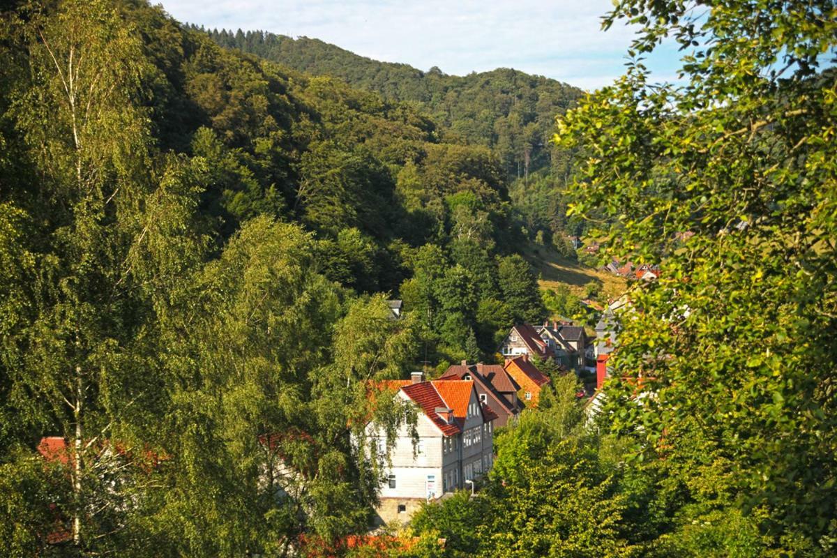 Osterode am Harz Fewo-Lerbachtal מראה חיצוני תמונה