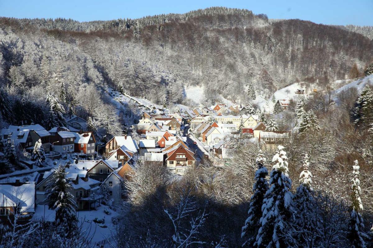 Osterode am Harz Fewo-Lerbachtal מראה חיצוני תמונה