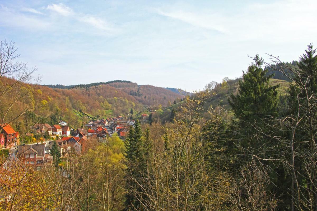 Osterode am Harz Fewo-Lerbachtal מראה חיצוני תמונה